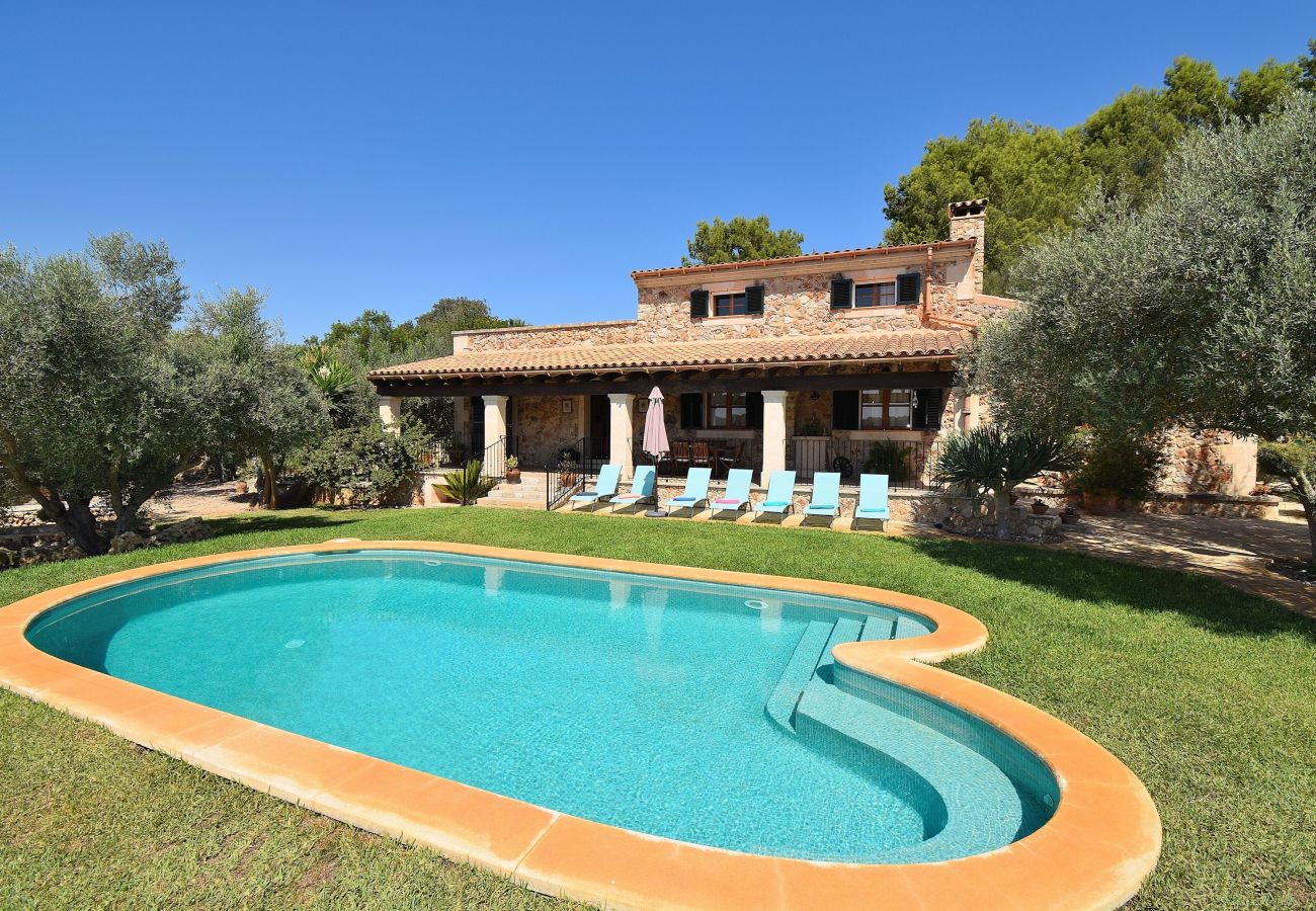 vacaciones, tranquilidad, piscina, naturaleza 