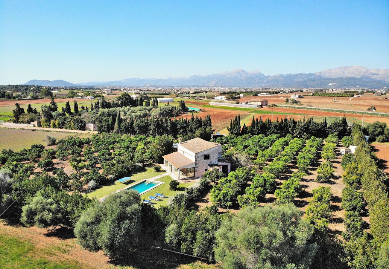 Finca en Muro - 108 Finca Son Morey Tarongers ETV/14340 by Mallorc