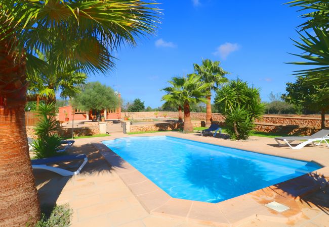 Finca con piscina y jardín grandes, naturaleza, Mallorca.
