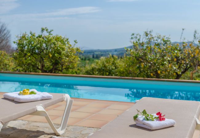 Villa en Selva - YourHouse Es Molinet Villa en Selva - YourHouse Es Molinet