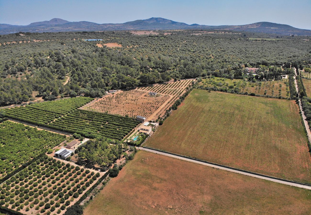 Villa en Ariany - Villa Ca Na Capitana 219 by Mallorca Charme