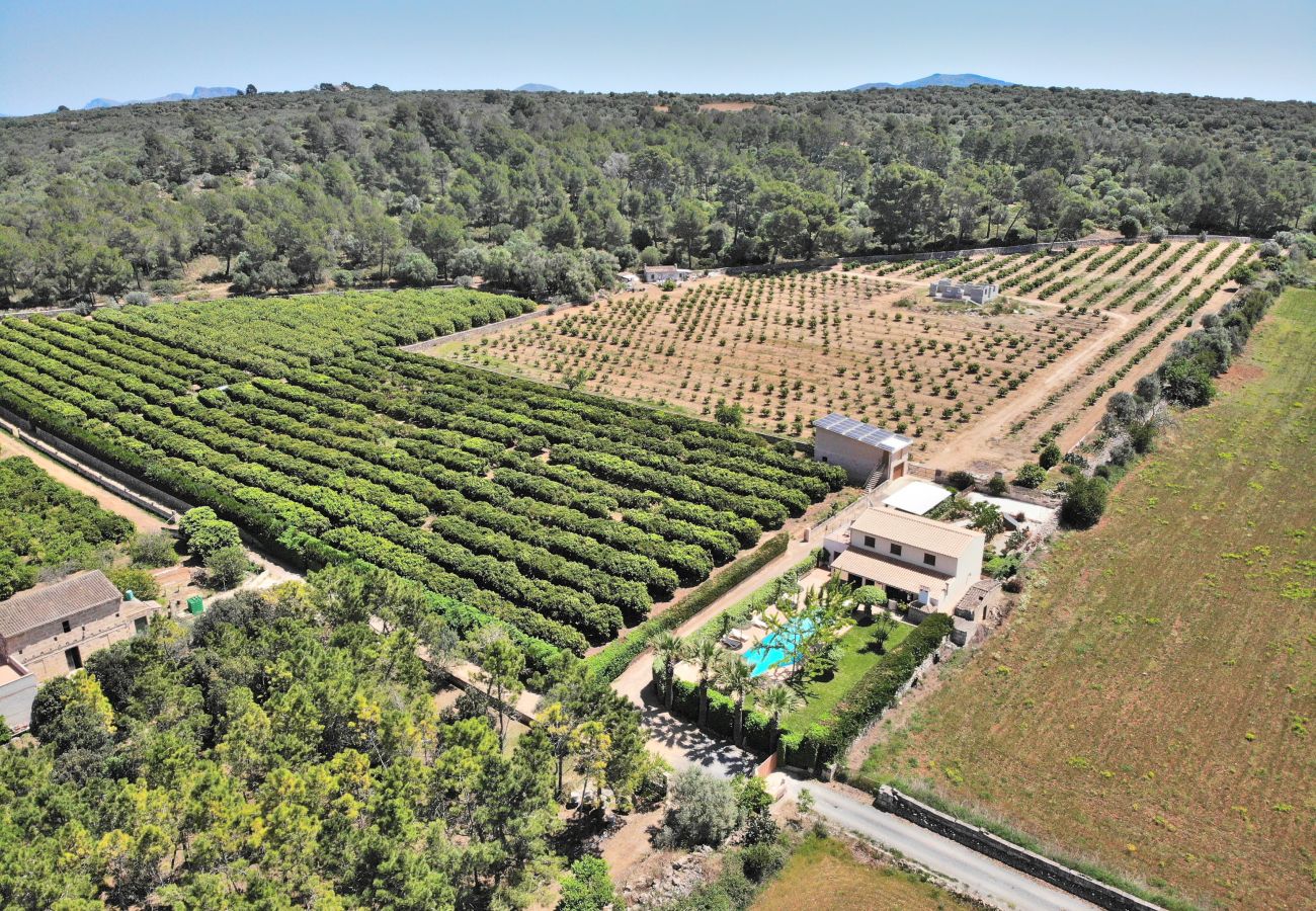 Villa en Ariany - Villa Ca Na Capitana 219 by Mallorca Charme