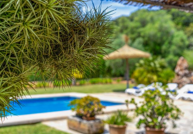 Finca en Pollensa / Pollença - Buchaca, Villa-Finca 5StarsHome Mallorca Finca en Pollensa / Pollença - Buchaca, Villa-Finca 5StarsHome Mallorca