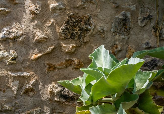 Finca en Pollensa / Pollença - Buchaca, Villa-Finca 5StarsHome Mallorca Finca en Pollensa / Pollença - Buchaca, Villa-Finca 5StarsHome Mallorca