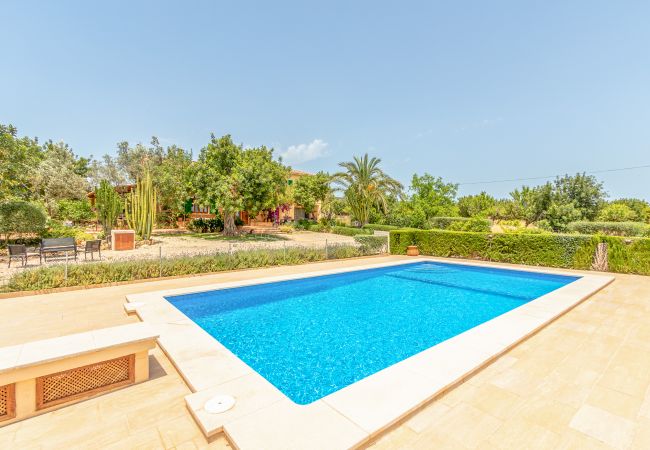 Finca en Binissalem - Alaroters, Villa-Finca 5StarsHome Mallorca Finca en Binissalem - Alaroters, Villa-Finca 5StarsHome Mallorca