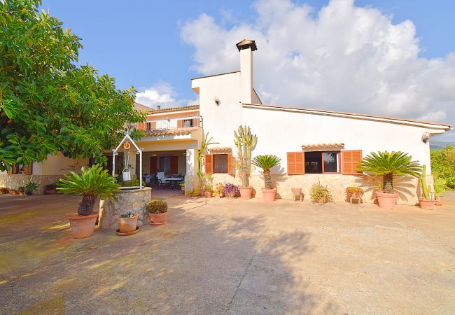 Finca en Campanet - Villa Can Nina 198 by Mallorca Charme