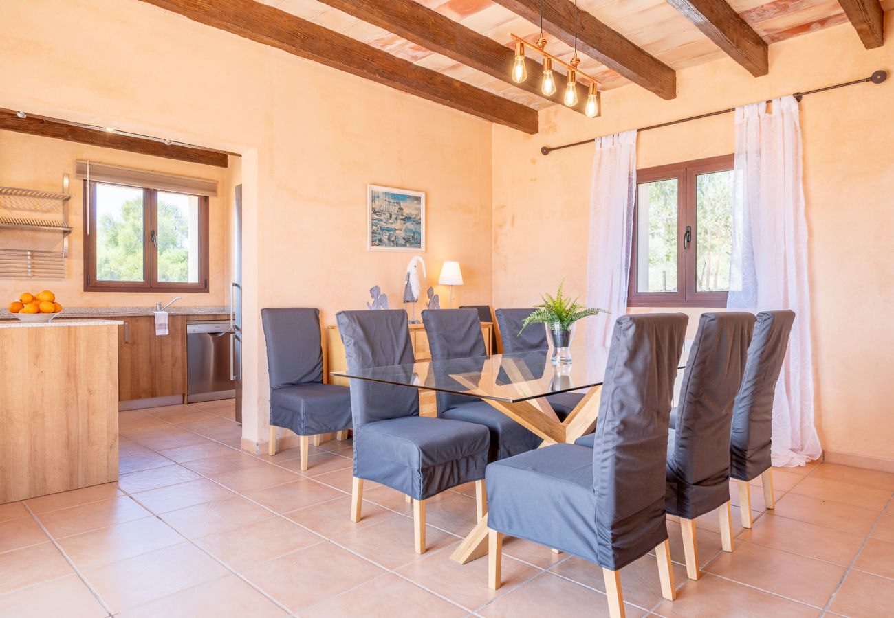 Villa en Manacor - Finca Sa Pleta