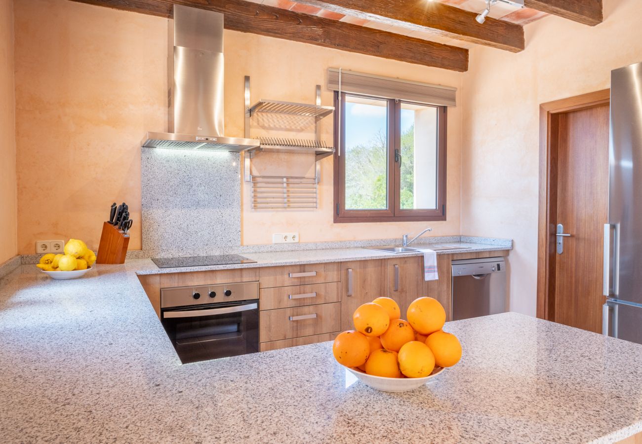 Villa en Manacor - Finca Sa Pleta