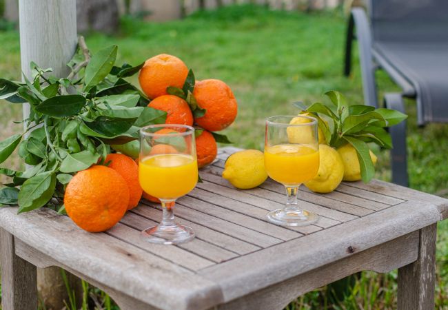 Apartamento en Maria de la salut - Apartment in rural house, YourHouse Deulosal Apartamento en Maria de la salut - Apartment in rural house, YourHouse Deulosal