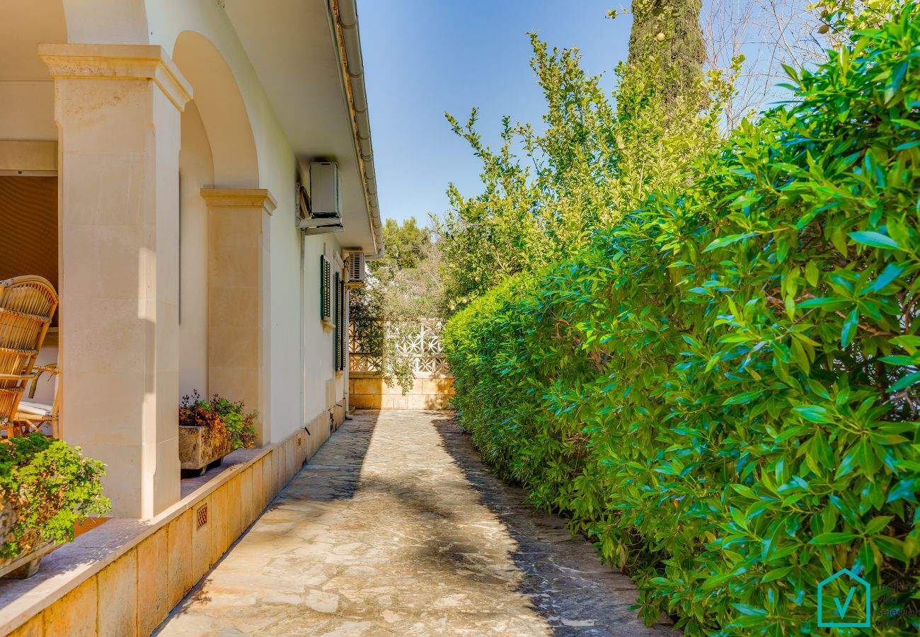 Villa en Platja de Muro - C371 Anecs by Mallorca Villa Selection