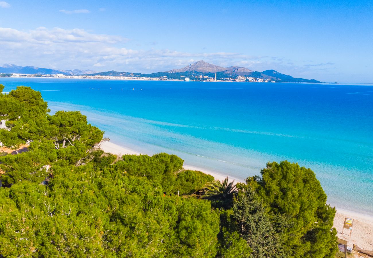 Villa en Platja de Muro - C371 Anecs by Mallorca Villa Selection
