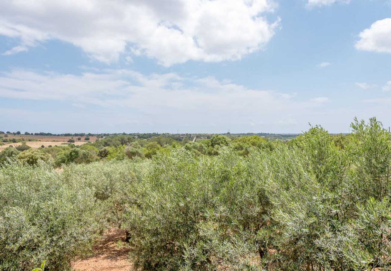 Casa en Son Carrió - Finca Ses Oliveres by Mallorca House Rent