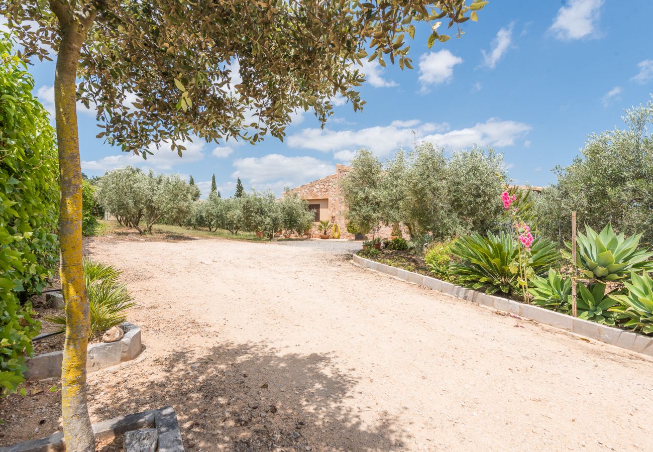 Casa en Son Carrió - Finca Ses Oliveres by Mallorca House Rent