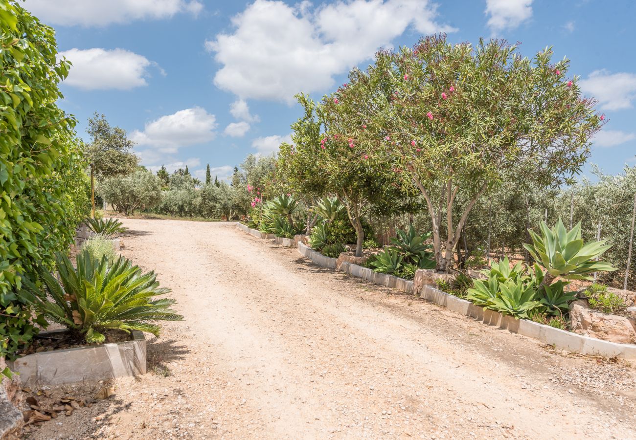 Casa en Son Carrió - Finca Ses Oliveres by Mallorca House Rent