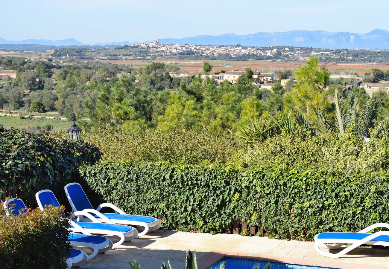 finca, campo, psicina, jardin, Mallorca, Ariany