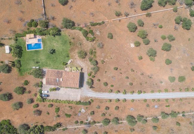 Finca en Petra - Saperla, Finca 5StarsHome Mallorca Finca en Petra - Saperla, Finca 5StarsHome Mallorca