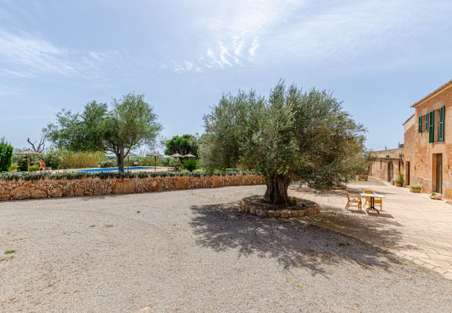 Agroturismo en Campos - YourHouse Son Sala Agroturismo Vina Vella - doble Agroturismo en Campos - YourHouse Son Sala Agroturismo Vina Vella - doble