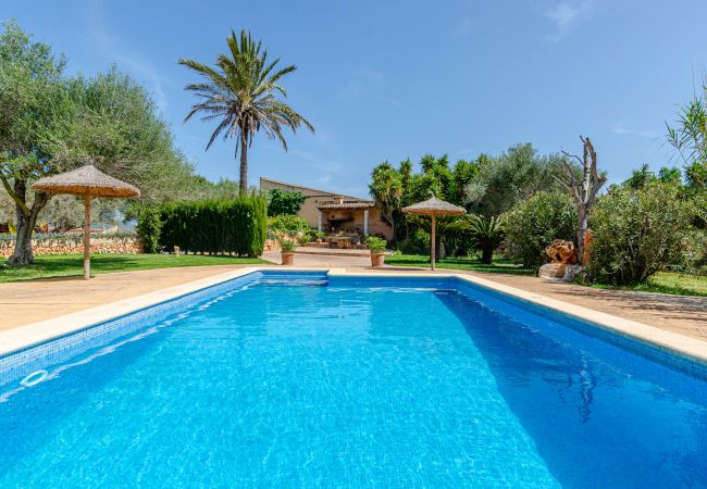 Agroturismo en Campos - YourHouse Son Sala Agroturismo Vina Vella - doble Agroturismo en Campos - YourHouse Son Sala Agroturismo Vina Vella - doble