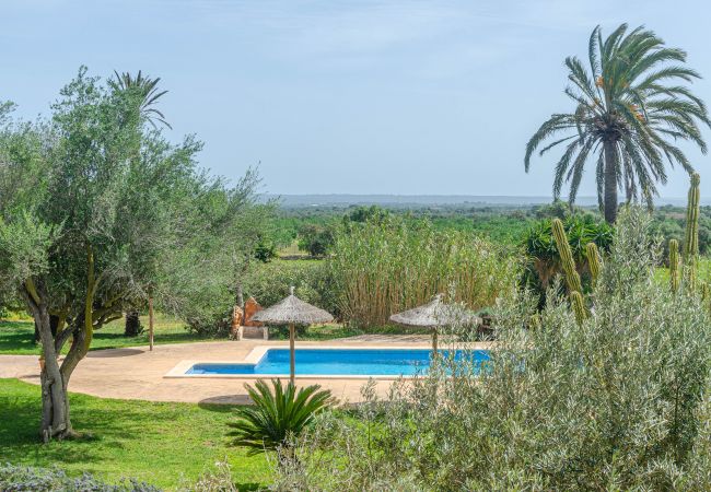 Agroturismo en Campos - YourHouse Son Sala Agroturismo Vina Vella - doble Agroturismo en Campos - YourHouse Son Sala Agroturismo Vina Vella - doble