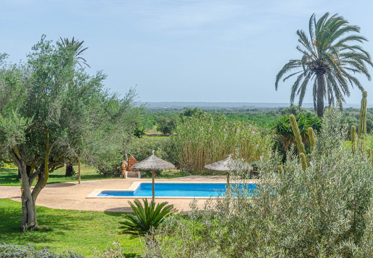 Agroturismo en Campos - YourHouse Son Sala Agroturismo Na gual doble