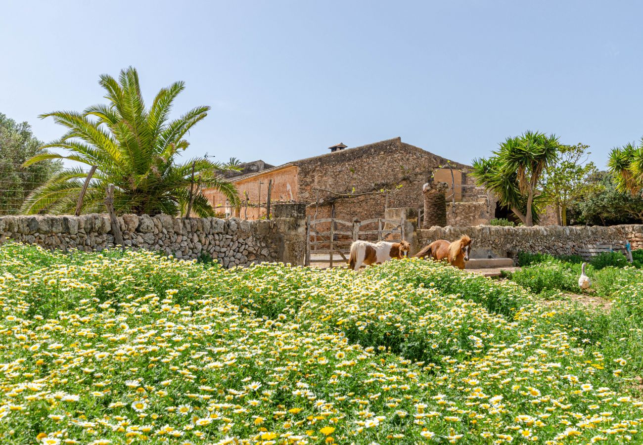 Agroturismo en Campos - YourHouse Son Sala Terrat Apartment in Agroturismo