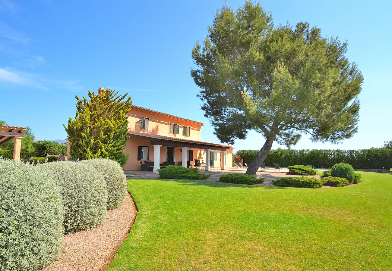 Finca en Binissalem - Villa Melchor 509 by Mallorca Charme