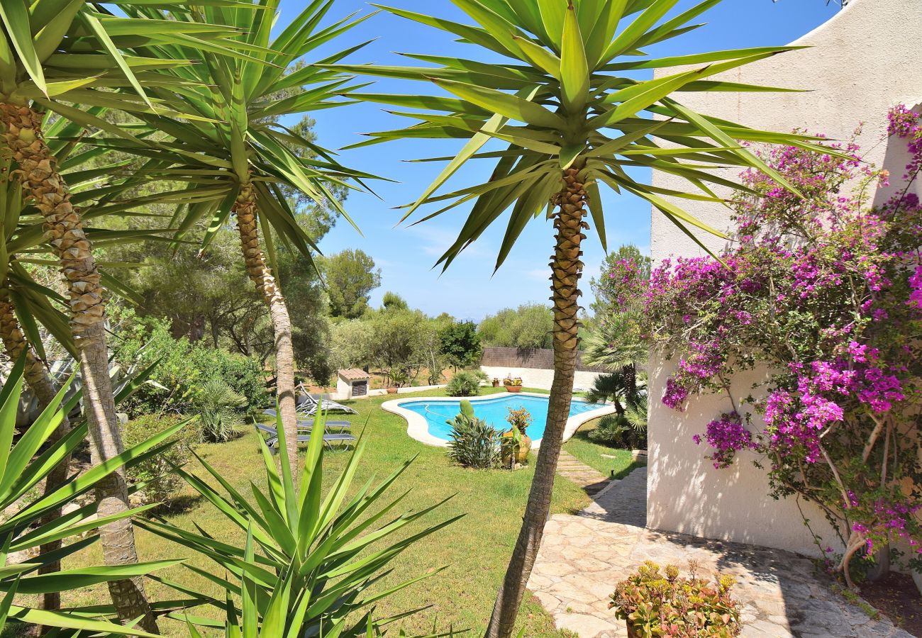 Villa en Arta - 258 Villa Wagner VT/1975 by Mallorca Charme