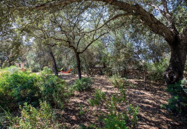 Finca en Costitx - Camadix, Finca 5StarsHome Mallorca Finca en Costitx - Camadix, Finca 5StarsHome Mallorca