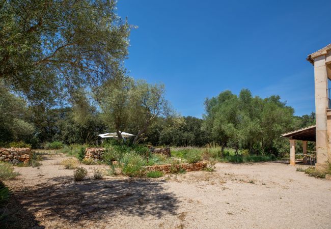 Finca en Costitx - Camadix, Finca 5StarsHome Mallorca Finca en Costitx - Camadix, Finca 5StarsHome Mallorca