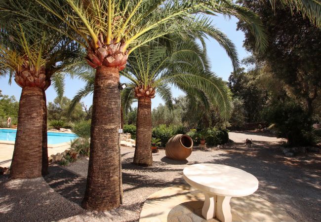 Finca en Pollensa / Pollença - Plumera, Finca 5StarsHome Mallorca Finca en Pollensa / Pollença - Plumera, Finca 5StarsHome Mallorca