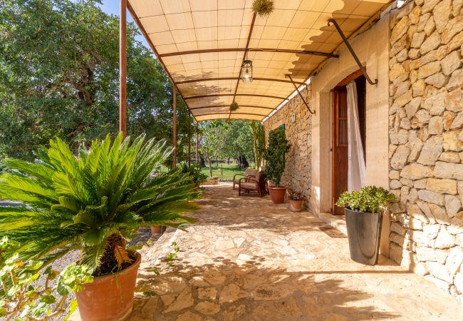 Finca en Selva - Can Tabenet, Finca 5StarsHome Mallorca Finca en Selva - Can Tabenet, Finca 5StarsHome Mallorca