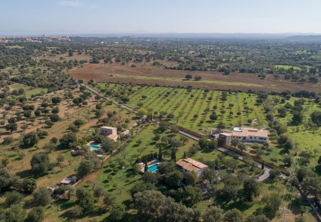 Finca en Selva - Can Tabenet, Finca 5StarsHome Mallorca Finca en Selva - Can Tabenet, Finca 5StarsHome Mallorca