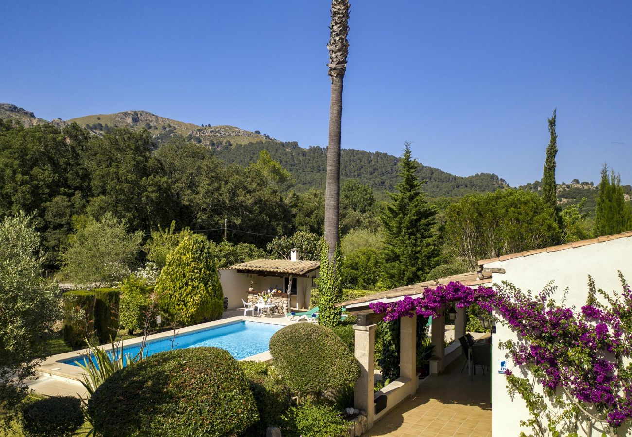 Finca en Pollensa / Pollença - Plantina, Finca 5StarsHome Mallorca
