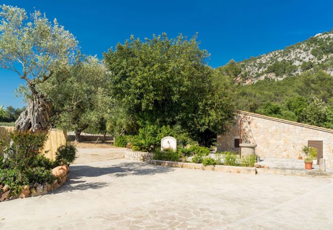 Finca en Sa Pobla - Cachanel, Finca 5StarsHome Mallorca Finca en Sa Pobla - Cachanel, Finca 5StarsHome Mallorca