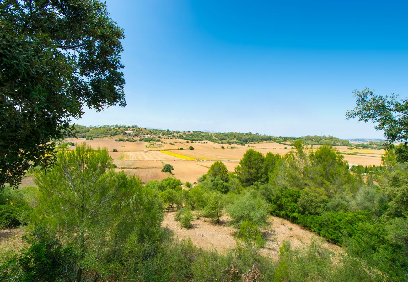Villa en Sineu - G189 Es Fangar by Mallorca Villa Selection