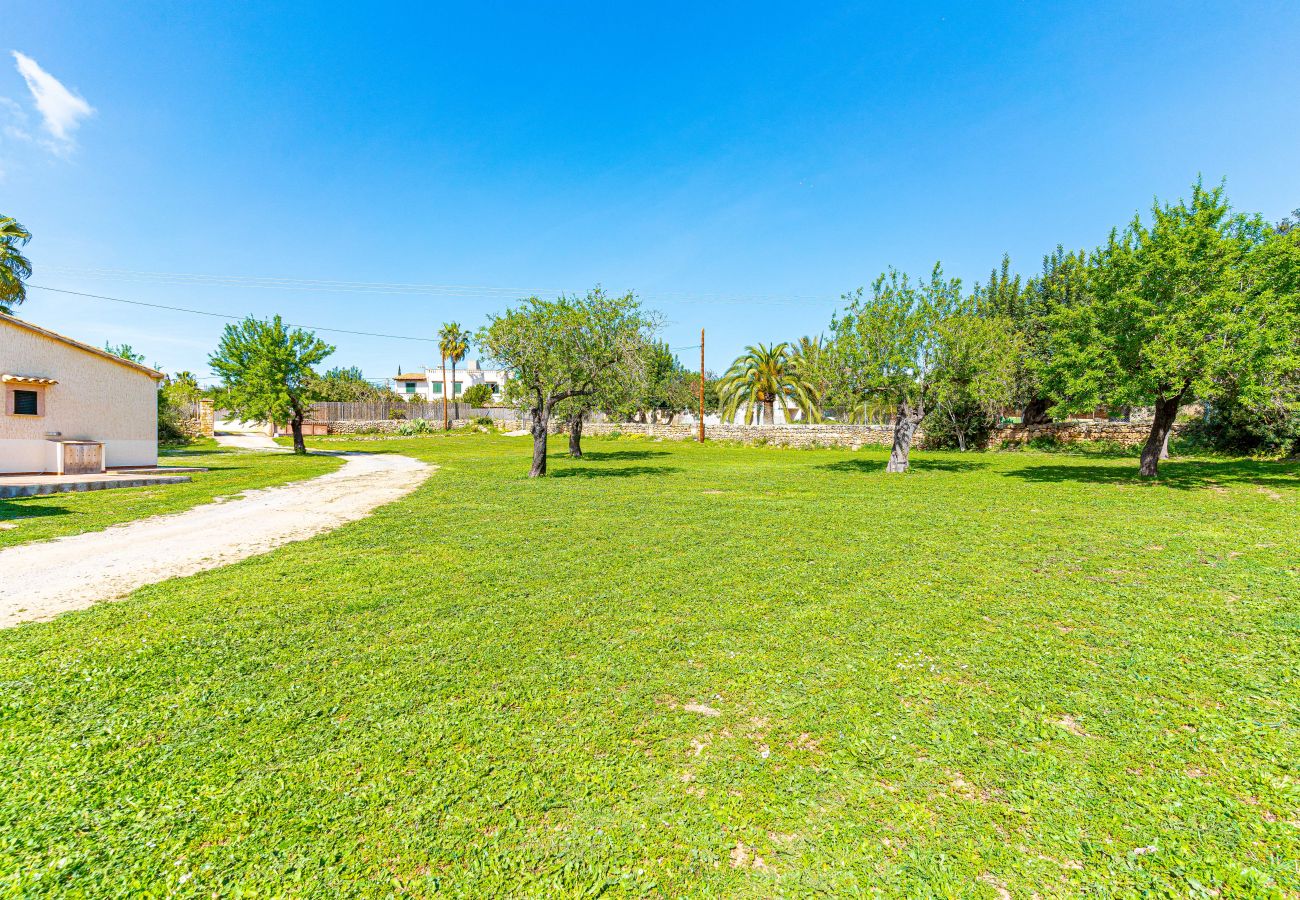 Villa en Alcúdia - E392 Villa Gallina by Mallorca Villa Selection