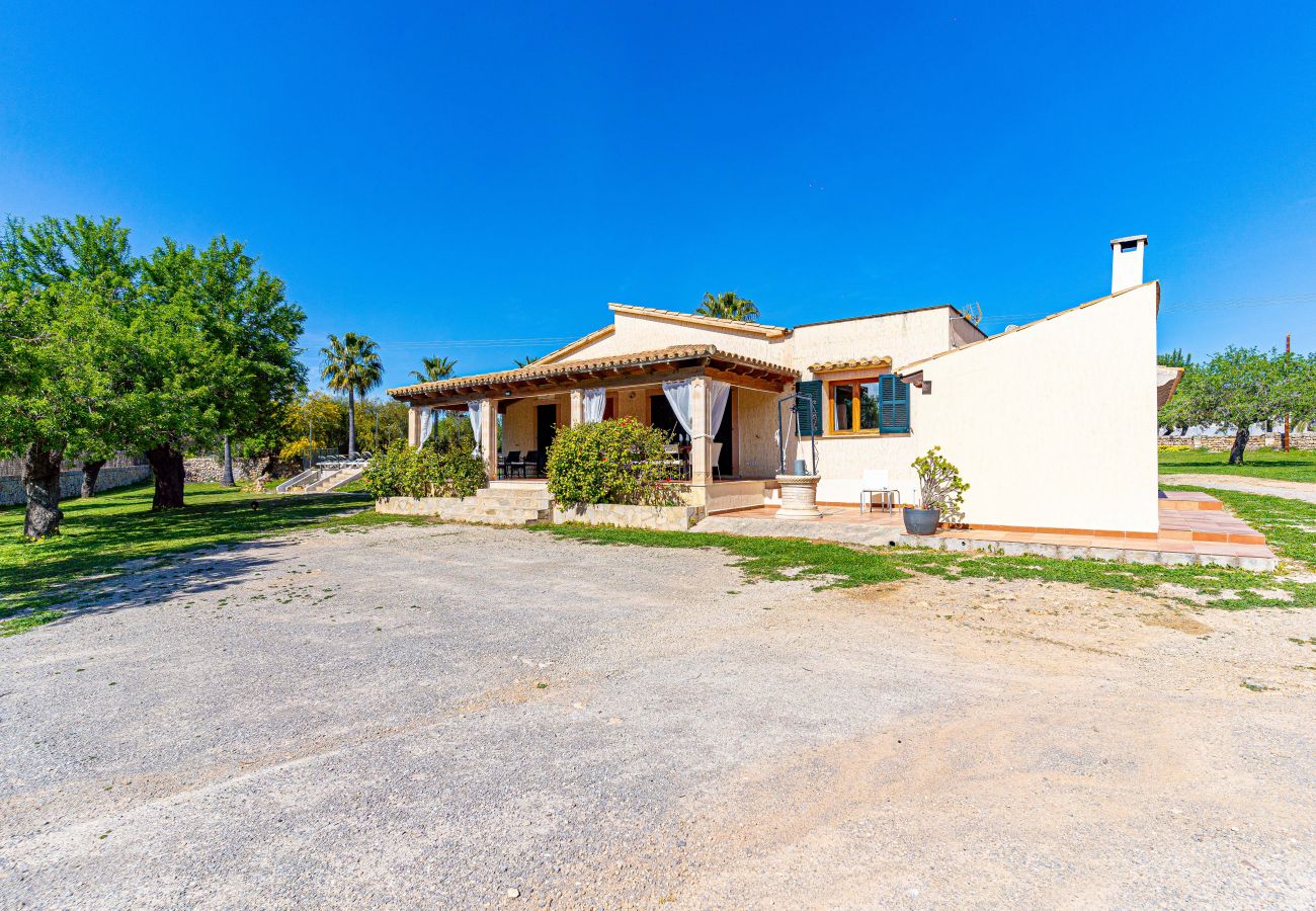 Villa en Alcúdia - E392 Villa Gallina by Mallorca Villa Selection