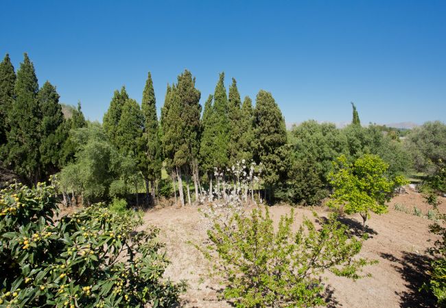 Villa en Alcúdia - VILLA VERTENT  ALC24 Villa en Alcúdia - VILLA VERTENT  ALC24