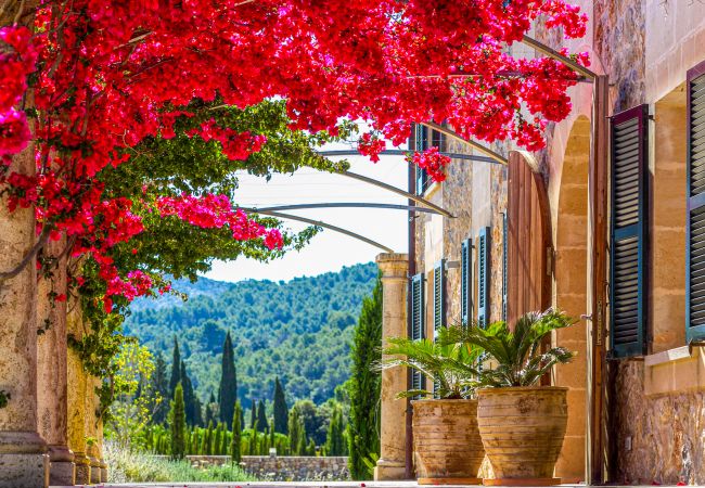 Villa en Pollensa / Pollença - Heidi 34, Villa 5StarsHome Mallorca Villa en Pollensa / Pollença - Heidi 34, Villa 5StarsHome Mallorca