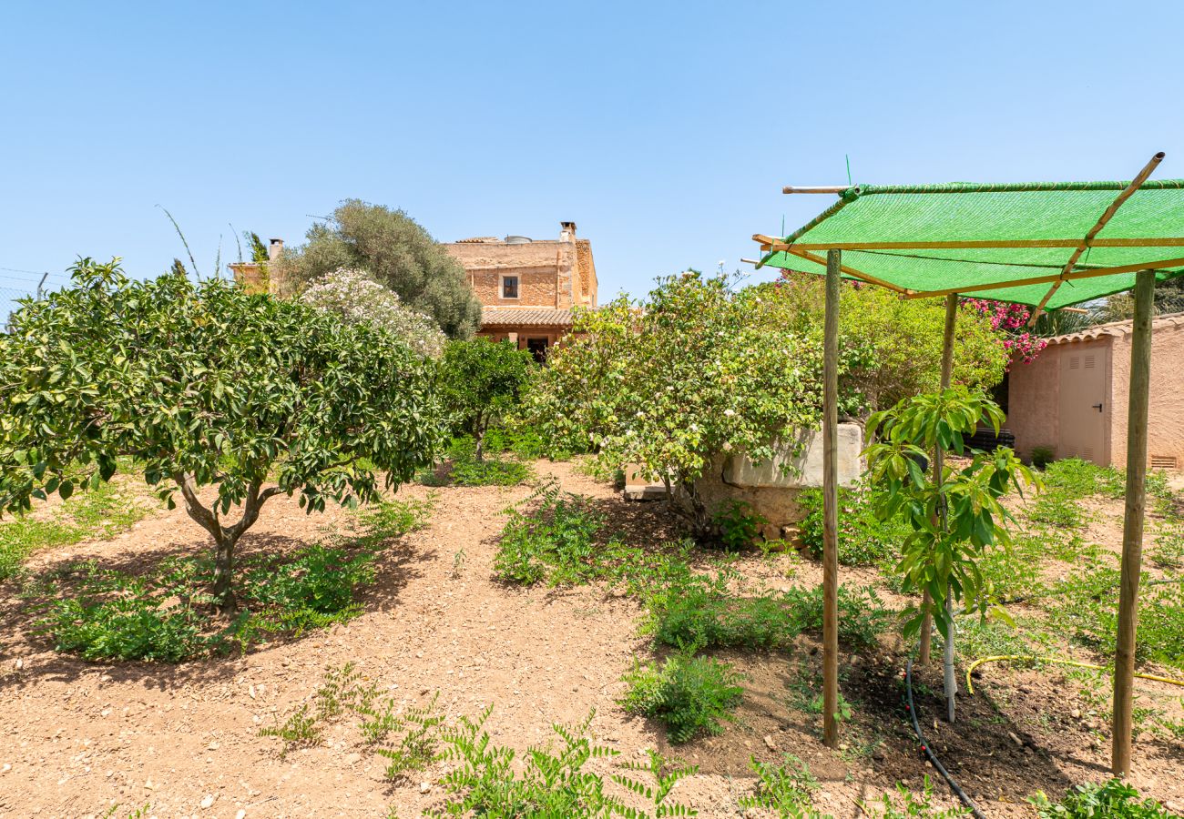 Casa en Felanitx - Son Suau Vell by Mallorca House Rent