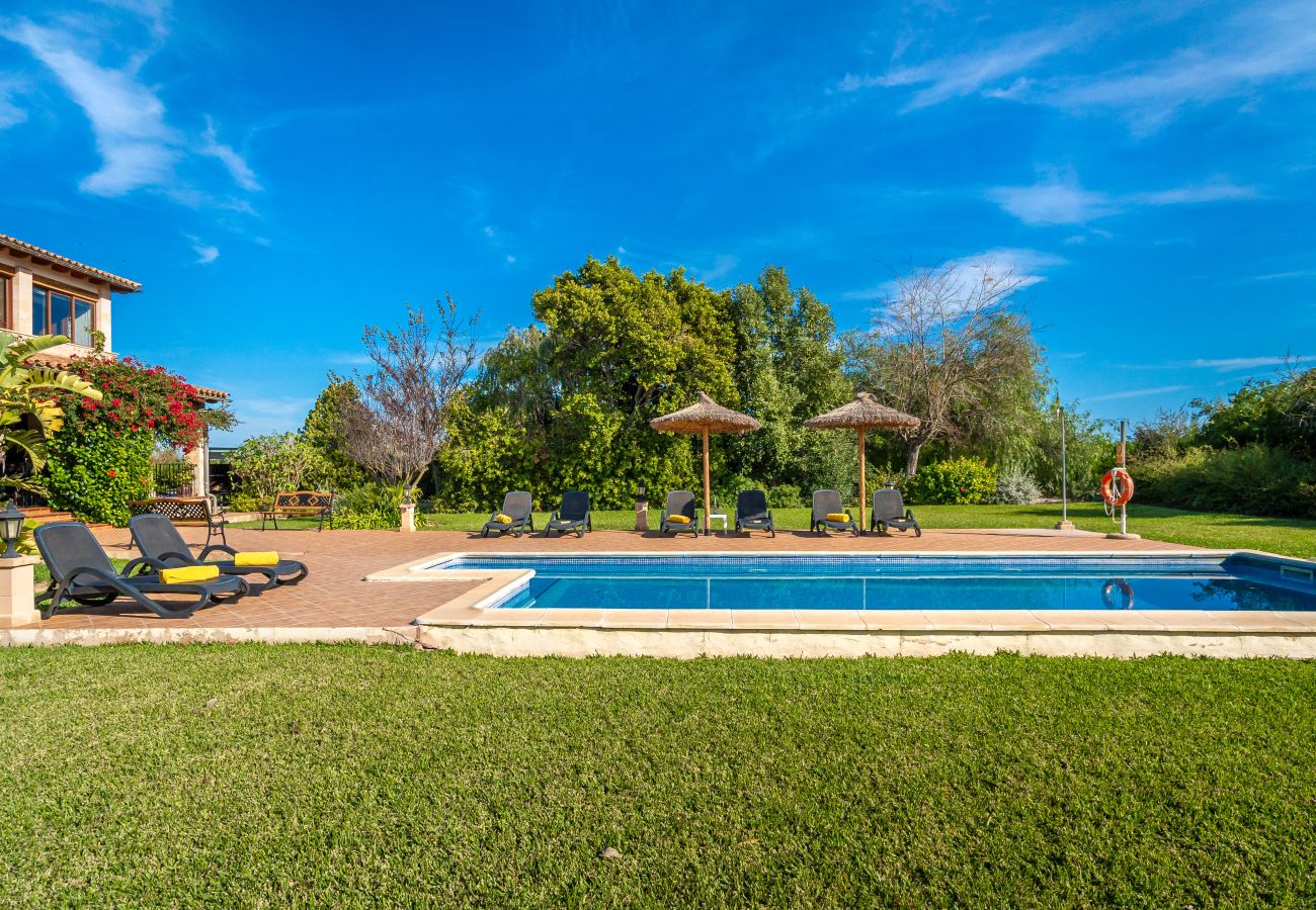 Villa en Alcúdia - M408 Can Torretes by Mallorca Villa Selection