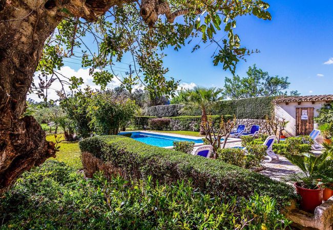 Villa en Pollensa / Pollença - Torella, Villa 5StarsHome Mallorca Villa en Pollensa / Pollença - Torella, Villa 5StarsHome Mallorca