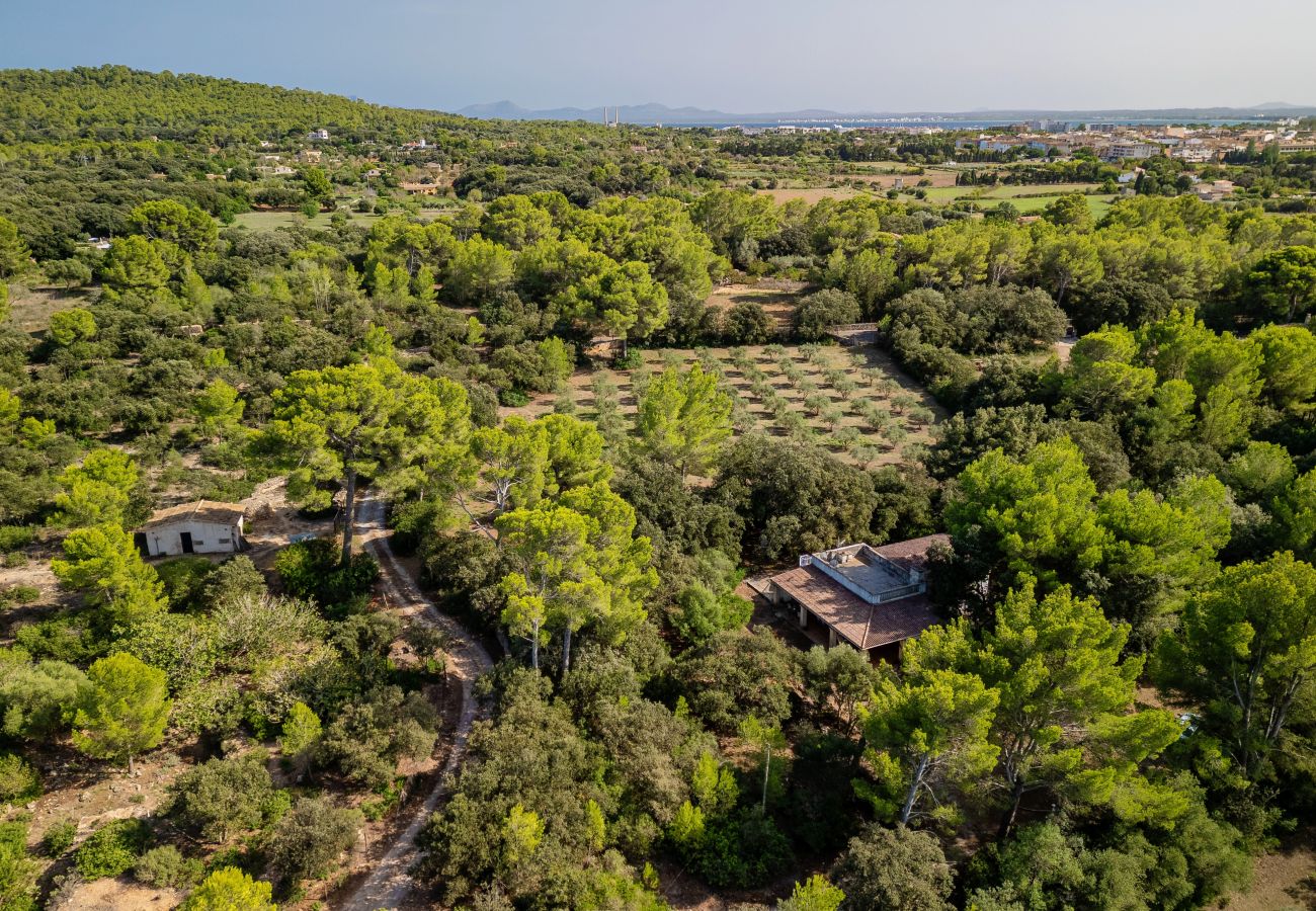 Casa en Alcúdia - E430 Can Simo by Mallorca Villa Selection