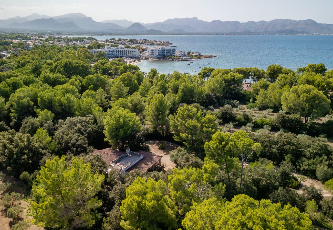 Casa en Alcúdia - E430 Can Simo by Mallorca Villa Selection