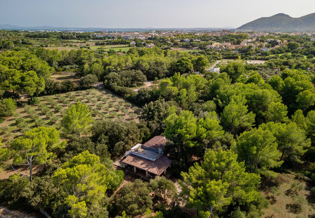 Casa en Alcúdia - E430 Can Simo by Mallorca Villa Selection