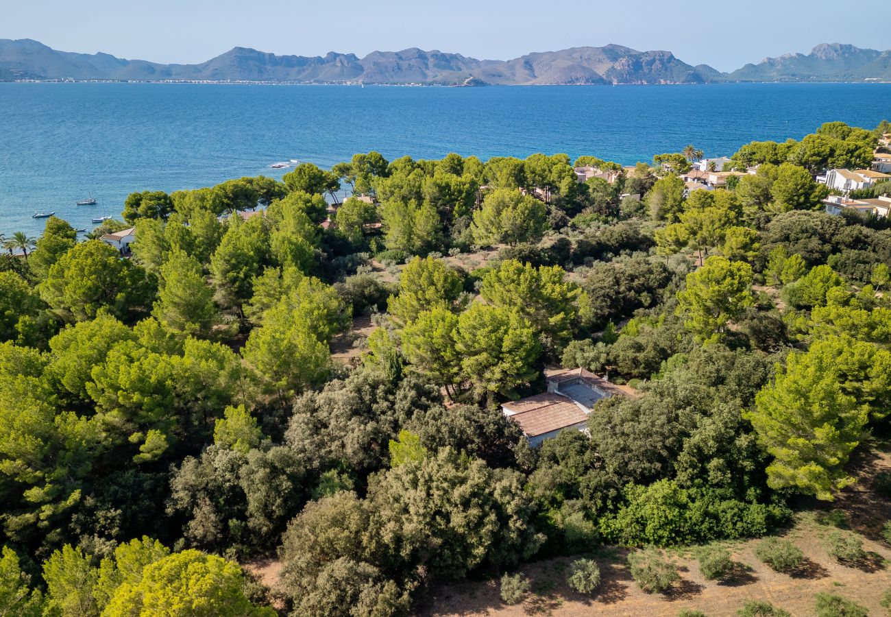 Casa en Alcúdia - E430 Can Simo by Mallorca Villa Selection