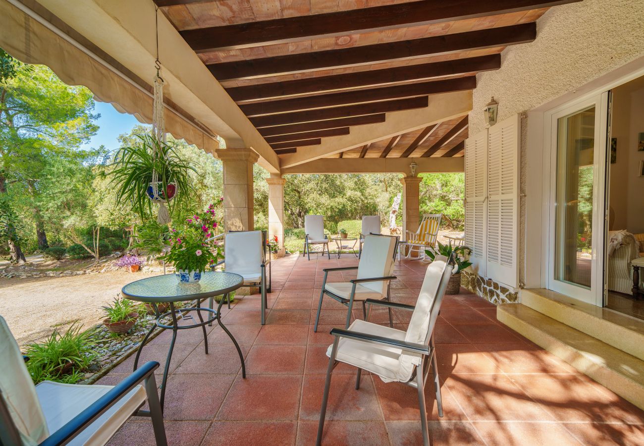 Casa en Alcúdia - E430 Can Simo by Mallorca Villa Selection