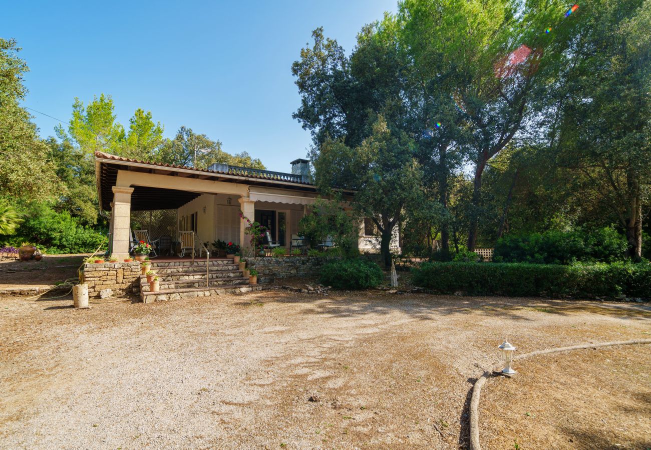 Casa en Alcúdia - E430 Can Simo by Mallorca Villa Selection
