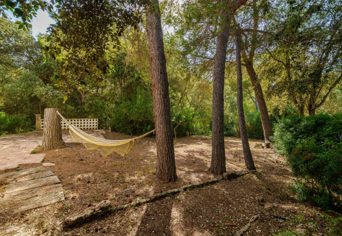 Casa en Alcúdia - E430 Can Simo by Mallorca Villa Selection