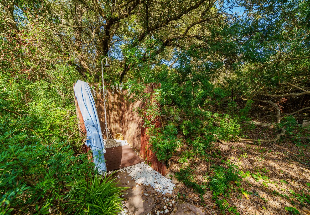 Casa en Alcúdia - E430 Can Simo by Mallorca Villa Selection